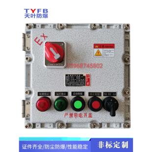 防爆电热带专用温控箱 手动自动仪表控制箱 220V380V