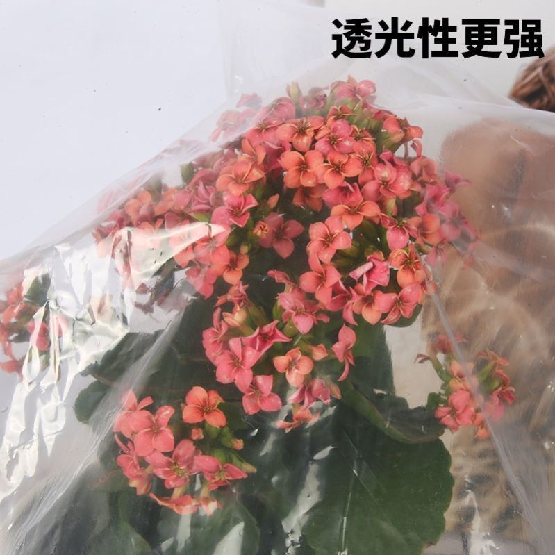 农用种植小拱棚膜白色地明塑料薄膜保温T蔬菜大棚膜透膜