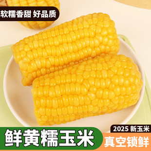 【2500g】正宗应季黄糯玉米真空包装