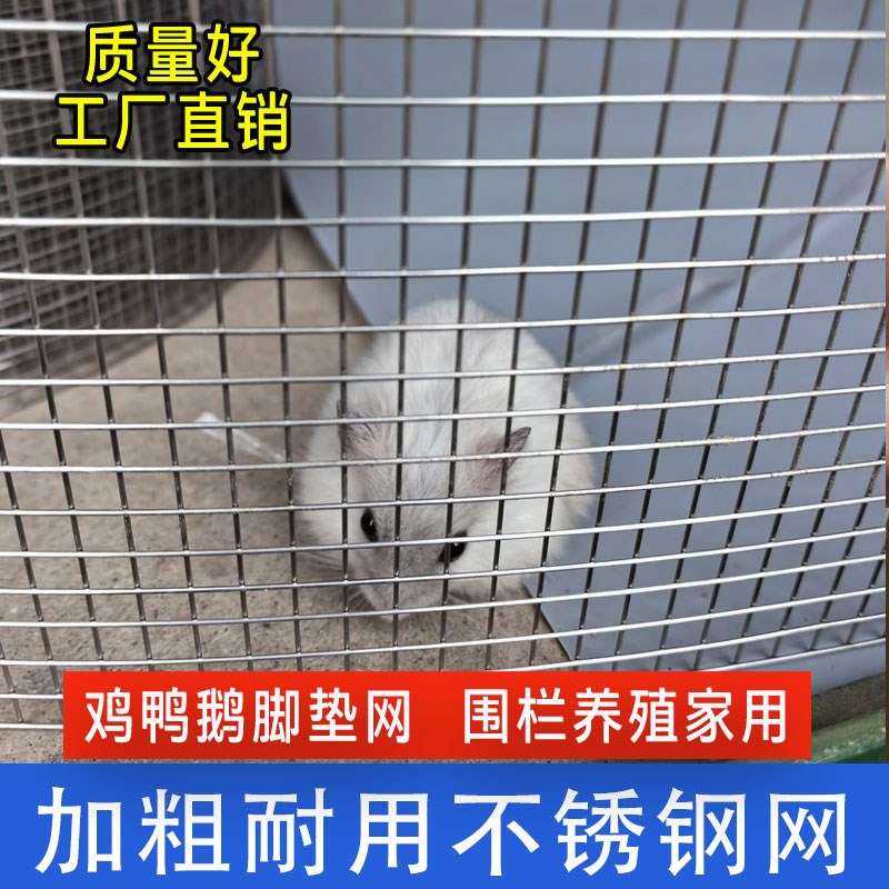 304不锈钢电焊网筛网钢丝网护栏方格网阳台防护铁丝网鱼塘防逃网