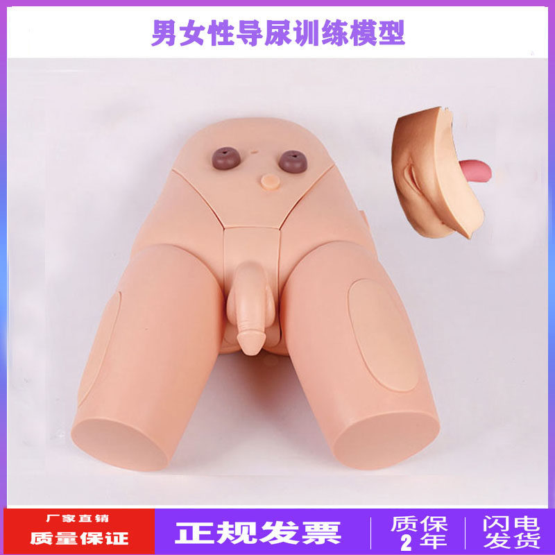 高级男女性导尿模型灌肠模型医学用导尿术操作模特U下半身护理人