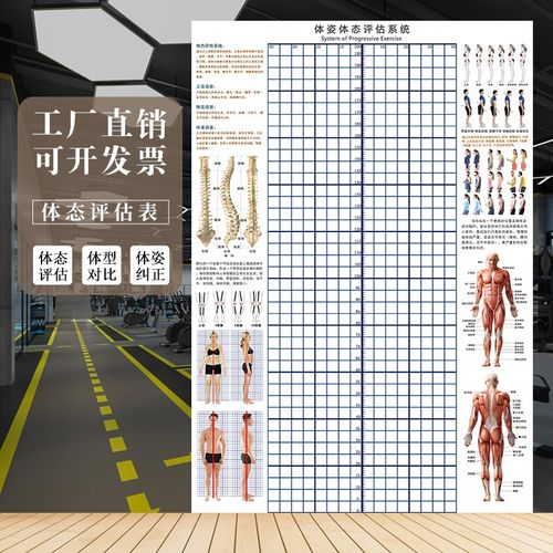 体态评估表体姿图壁画健身房瑜伽馆身体姿态评估图培训机构体测表