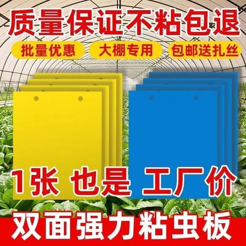 厂家直供双面粘虫板大棚黄板黄蓝一体诱虫板N果树防虫黄板粘板蓝