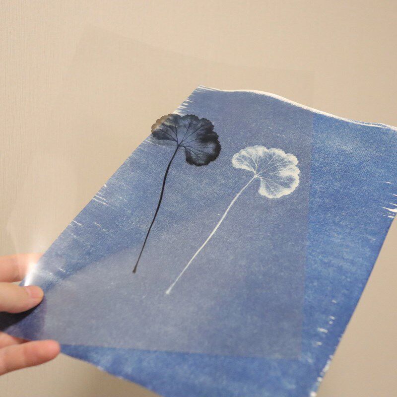 蓝晒菲林片打印定制蓝晒负片反转片透明片A4幻灯投影胶片彩色胶片