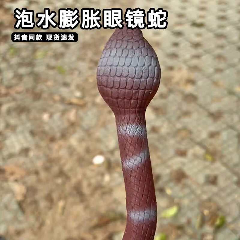 商家说泡水6天能成史前巨蟒