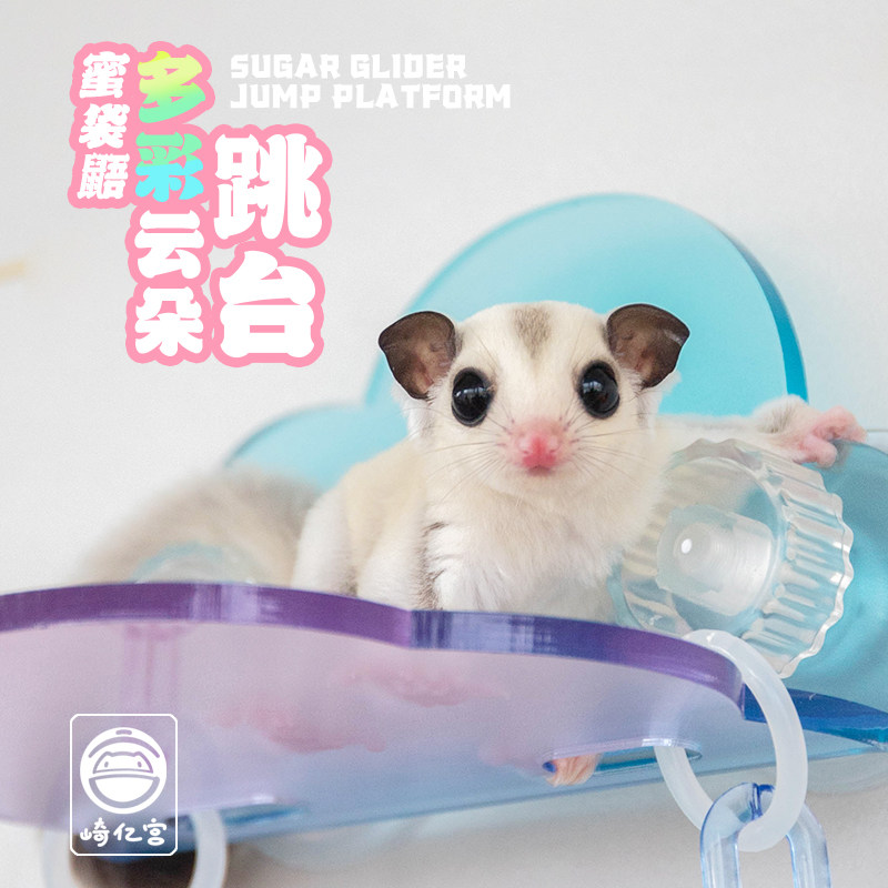 蜜袋鼯飞行跳台多彩云朵起飞站台飞行训练蜜袋R鼬仓鼠玩具用品跳