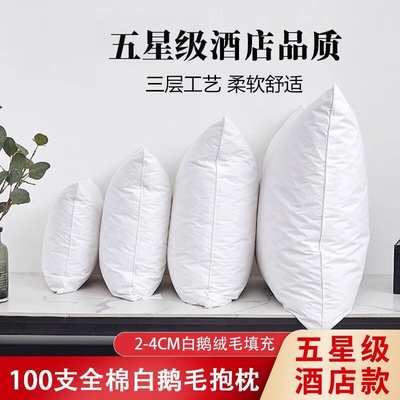 鹅毛羽绒靠垫g芯羽毛抱枕芯酒店沙发靠背腰垫办公室大靠枕床头靠