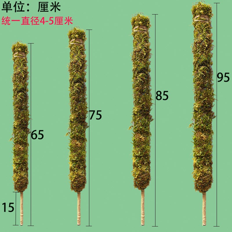 苔藓杆DIY造型可弯曲定型植物攀爬杆龟背竹支撑绿萝园艺爬藤支柱