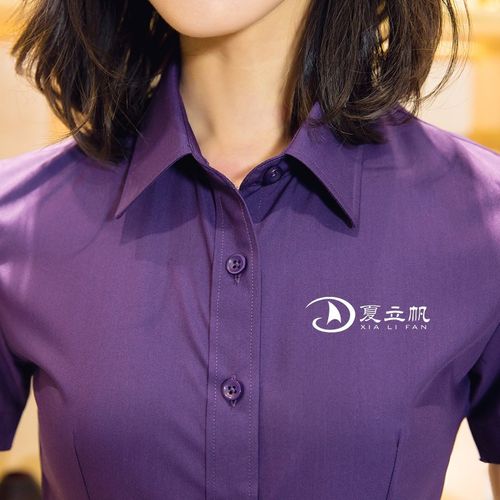定制工作服衬衫工装集团公司职业装4S店地产物业管理衬衣印绣LOGO