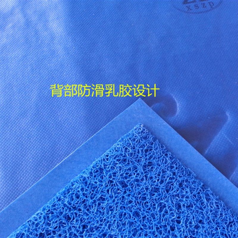 蓝色门垫丝圈家用进门口防滑垫入户除尘地垫塑料地毯出入平安门垫,居家布艺,家用脚垫,淘宝优惠券,粉丝福利购,淘宝优惠卷
