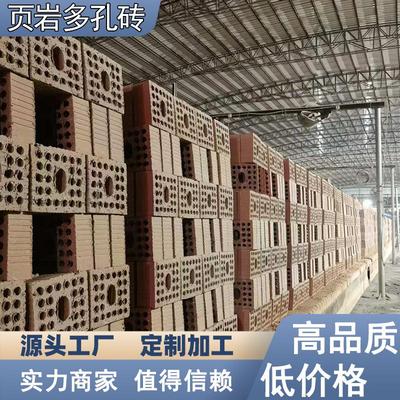 土页岩烧结红砖空心砖保温砌块煤矸石多孔烧结砖外墙装饰砖直销