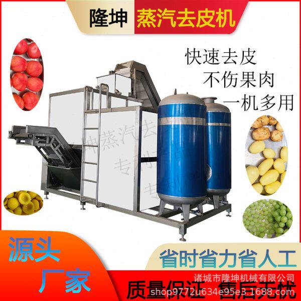 隆坤全自动果蔬去皮机 西红柿番茄削皮机 大型商用不锈钢脱皮设备