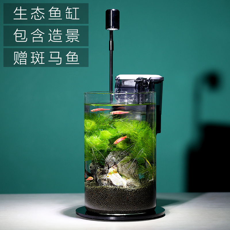 生态瓶微景观小型办公桌面鱼缸造景斗鱼玻璃缸水族客厅创意免换水