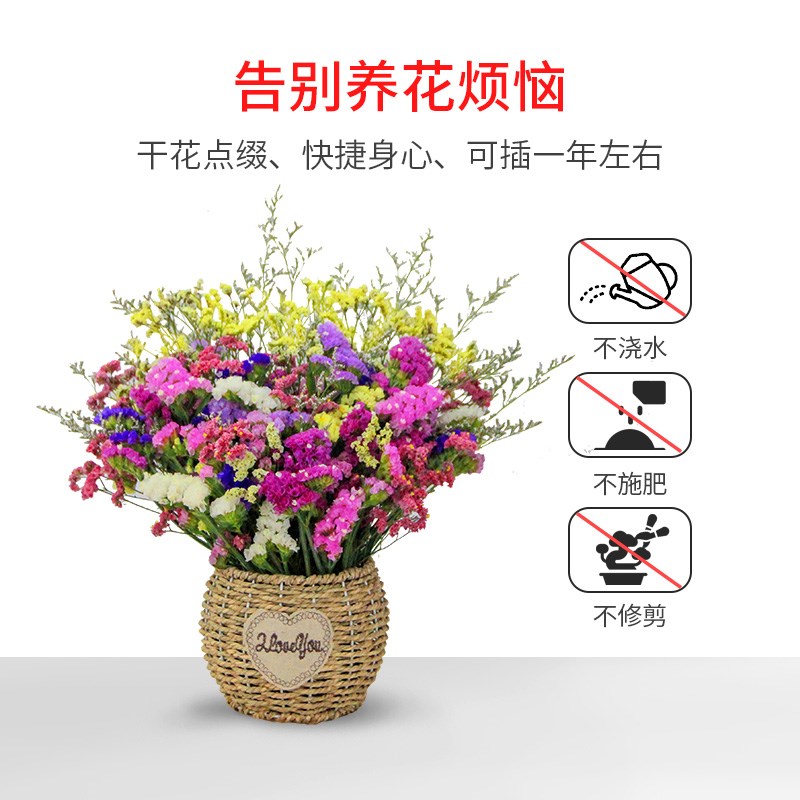 干花花束客厅摆设真花家居装饰摆设件风干天然勿忘我满天星干鲜花