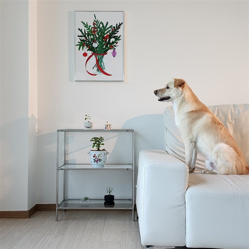 TeeUM韩国制创意手工多肉花盆客订款