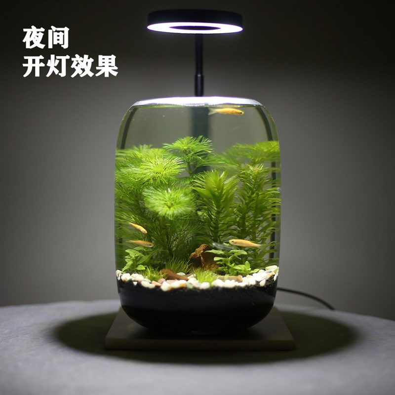 桌面小鱼缸小型玻璃鱼缸生态鱼缸免打理生态缸微景观造景生态全套