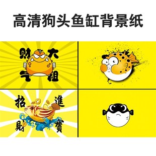 斑马狗头鱼缸背景贴纸河豚鱼缸黄色高清背景正胶自粘内外防水