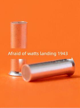 EN-2508裸铜管 管形裸端子 铜管 冷压 铜连接管GT型 2000祇