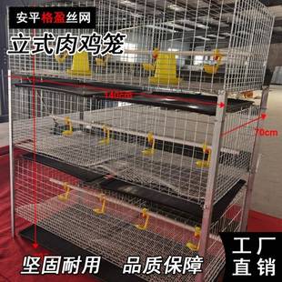 肉鸡框架笼源头厂家直营鸡笼肉鸡蛋鸡