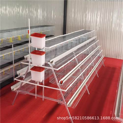 三层四门阶梯蛋鸡笼多层立体蛋鸡笼养设备可加自动捡蛋清粪