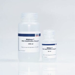 Qiagen 76104 组织样品RNA稳定液 50ml