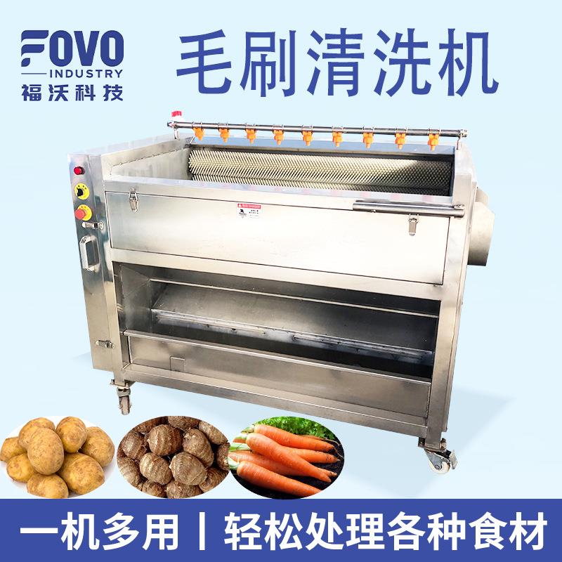 连续式凉薯毛刷清洗机新疆灰枣清洗机果蔬加工去泥沙清洗设备