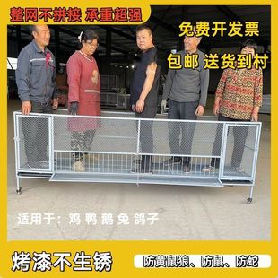 尖顶养殖笼鸡鸭鹅笼遮雨棚防黄鼠狼蛇加密加厚鸡笼棚养鸡笼子家用