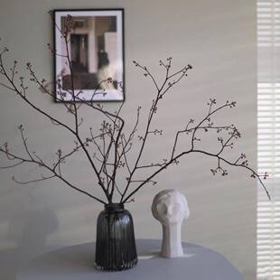 灯台山归来植物干花干树枝永生花中式天然卧室客厅装饰侘寂风摄影