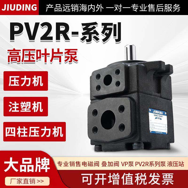 pv2r1高压叶片泵PV2R2定量液压帮浦总成pv2r3/4液压油泵压头配件