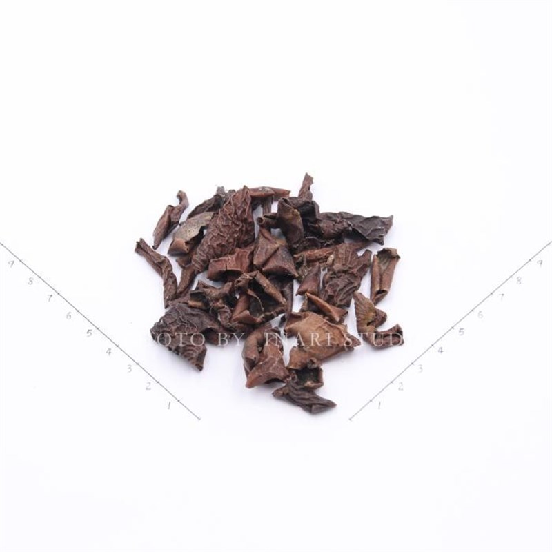 稻荷Inari 核桃皮 褐色系天然植物染料 草木染材 手工扎染印染DIY