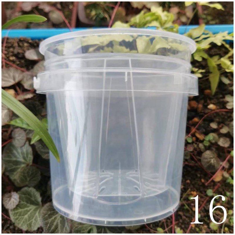 蝴蝶兰花盆套盆半水培器皿绿植双层套装透明懒人自吸水储水盆