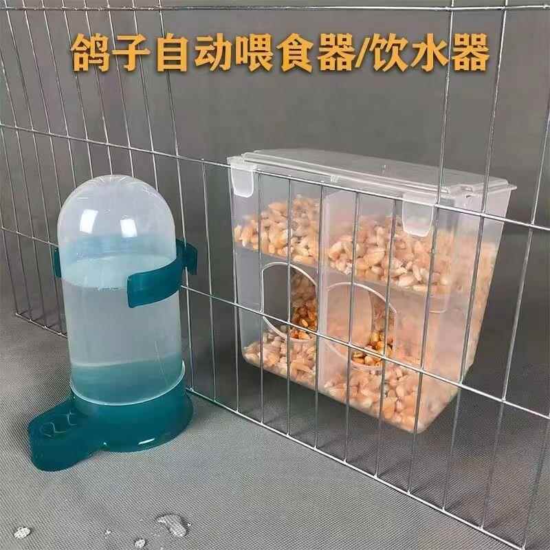 食杯喝水器小鸡白鸽自动喂水器鸽子喂食器饮水壶鸟食槽子全自动