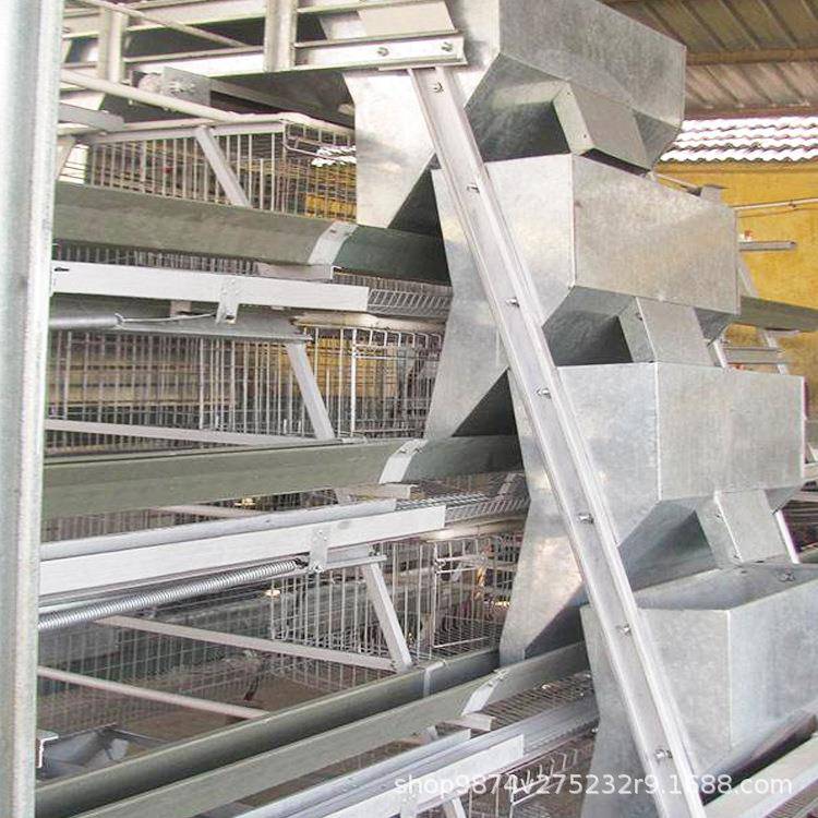 阶梯式喂料设备自动化养殖机械厂家出售全自动定量喂食器