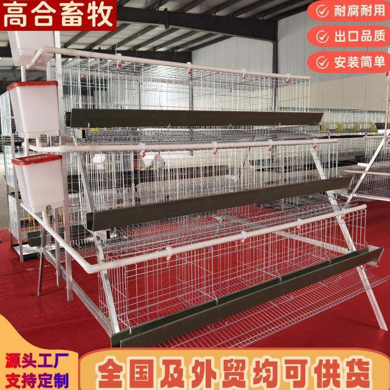 镀锌鸡笼蛋鸡笼三层四门阶梯蛋鸡笼养殖笼工厂现货直供可外贸,畜牧/养殖物资,特种养殖设备,淘宝优惠券,粉丝福利购,淘宝优惠卷