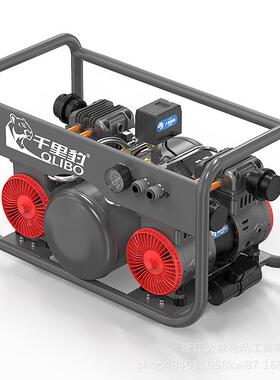 DX16-02A1680W×2-10L气泵无油静音小型工业级带轮便携大功