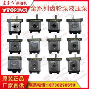 东方红拖拉机农机配件中伟CBN系列左旋4键11键液压泵齿轮泵双联泵