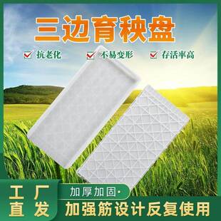 水稻育秧盘三边托盘机插育苗盘硬盘播种器7寸9寸配套软盘厂家直销