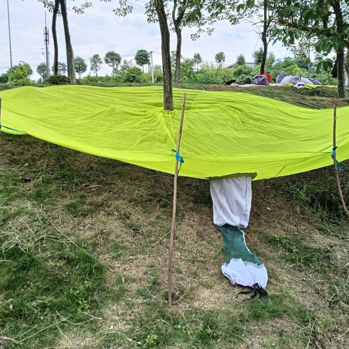 山核桃采收网新款果实采摘杨梅网八角网青梅桂花等农用工具农业