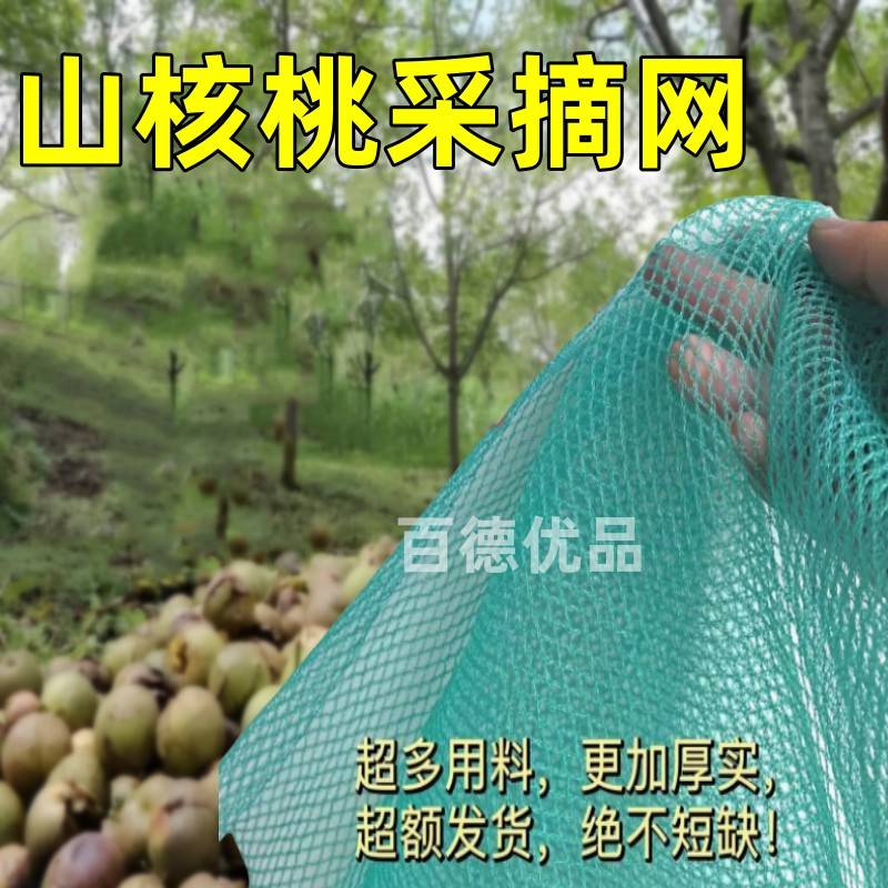 山核桃采收网农用铺树山上结实安全塑料大面积摘接打落果捞天网兜