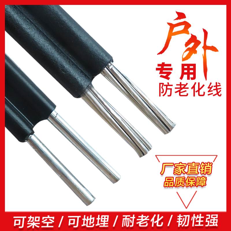 国标2芯铝线 线铝电缆线 线家用户外电线 线4 6 10 16平方双芯铝