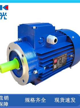 全新正品紫光电机MS90S4/MS90L4/8014/8024/8034/7124/7134/6324