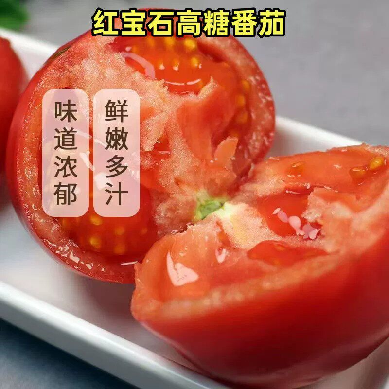 顺丰现摘红宝石高糖水果番茄当季新鲜蔬菜自然熟日本品种西红柿子