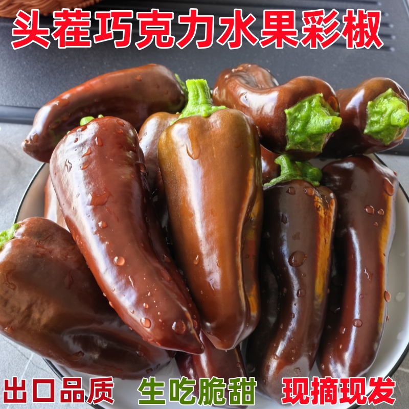 现摘巧克力迷你水果彩椒当