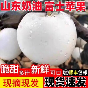 山东奶油富士苹果牛奶白苹果黄金奶油冰糖心当季 新鲜水果脆甜整箱