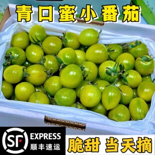 正宗山东潍坊寿光青甜清甜2号小番茄西红柿纯甜番茄现摘顺丰京东