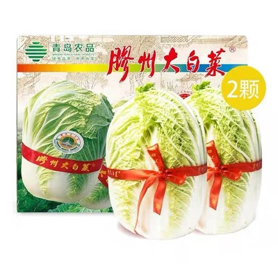 山东青岛特产正宗胶州胶东三里河大白菜新鲜农家蔬菜包菜黄心10斤