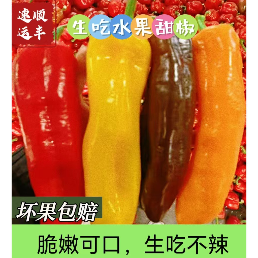 顺丰现摘长彩椒爽脆多汁颜
