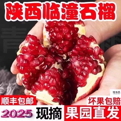 2025陕西临潼石榴新鲜软籽孕妇水果特大石榴礼盒装西安特产企送礼