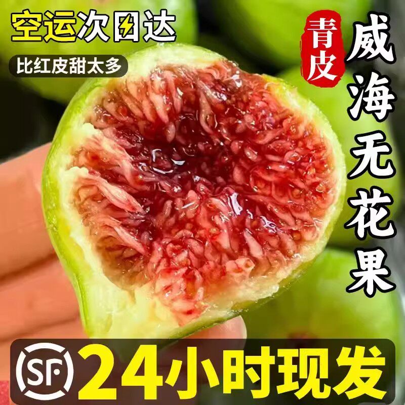 山东威海特产新鲜青皮无花果鲜果应季孕妇水果甜糯大果现摘顺丰