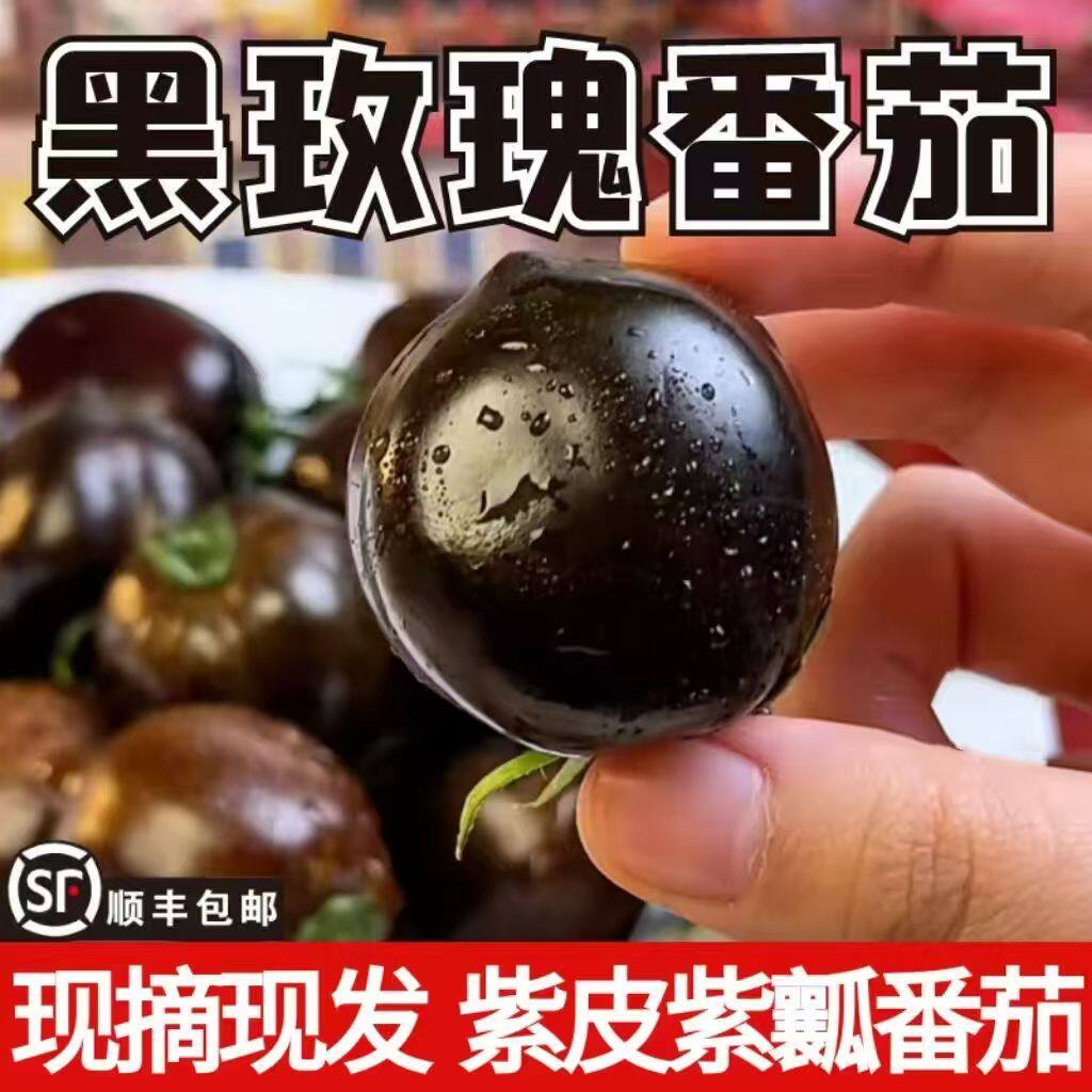 新鲜现摘黑番茄玫瑰番茄紫色蓝莓小番茄即食圣女果花青素水果顺丰